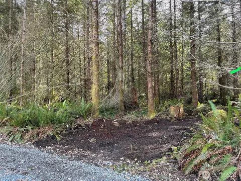 28840 Freelane Rd, Carbonado, WA 98323