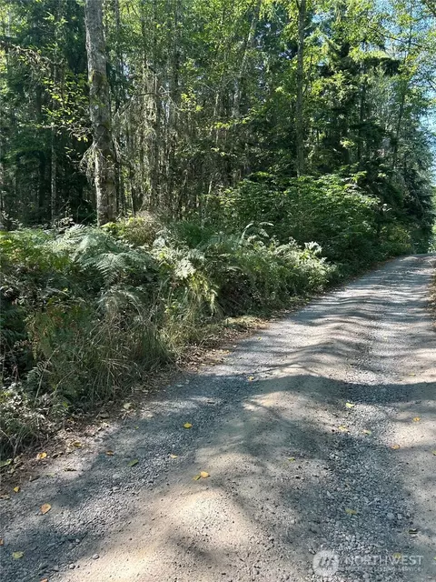 0 Nnn Forest View Ln, Greenbank, WA 98253
