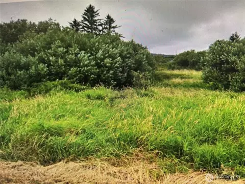 258 Stringtown Rd, Ilwaco, WA 98624