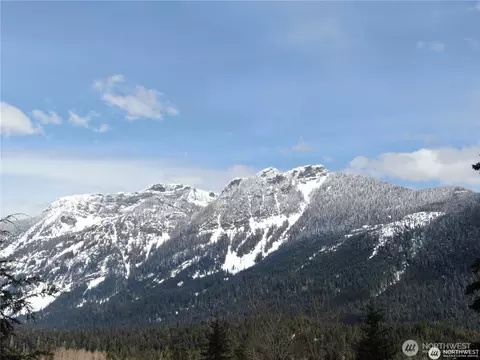 91 Arlberg Pl, Snoqualmie Pass, WA 98068