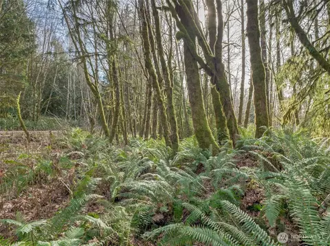 0 W Belfair Valley Rd, Bremerton, WA 98312