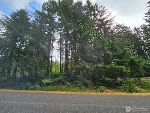 9325 123rd Ave, Anderson Island, WA 98303