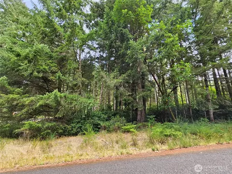 9325 123rd Ave, Anderson Island, WA 98303