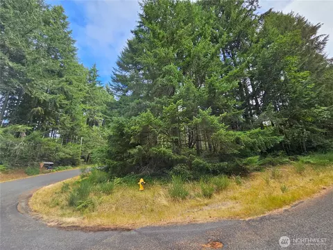 9325 123rd Ave, Anderson Island, WA 98303