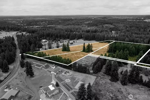 16228 Bald Hills Rd SE, Yelm, WA 98597