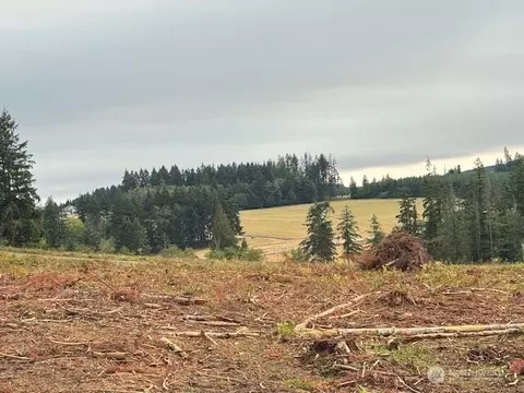 121 Woodberry Ln, Winlock, WA 98596