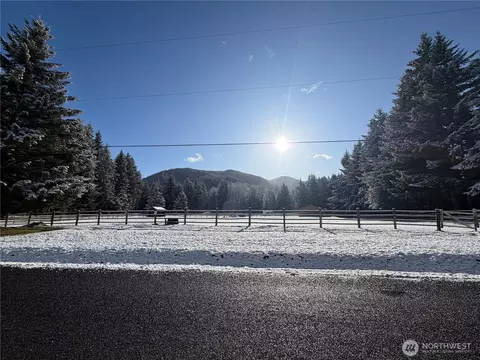 Exterior - 16221 Birch Way E, Greenwater, WA 98022 photo 5 of 5