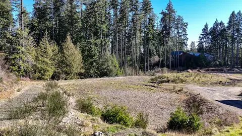 223 W B St, Shelton, WA 98584