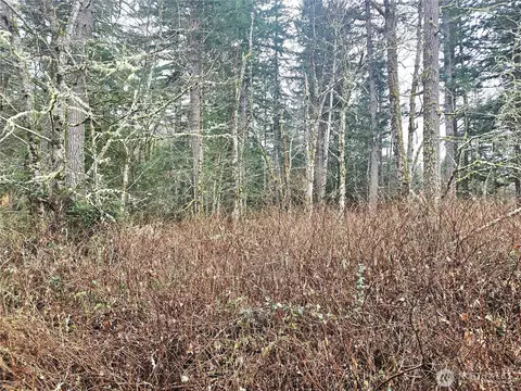 4 W Nka W Go Onna Dr, Quilcene, WA 98376