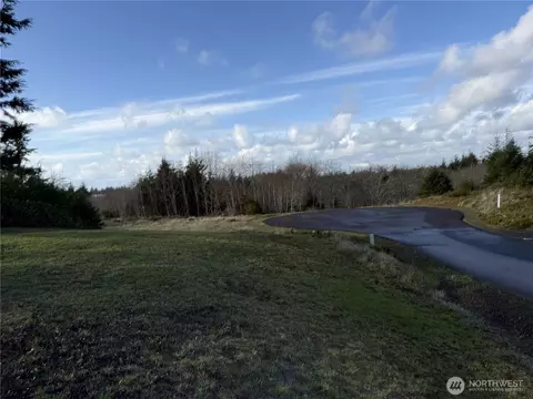 0 Lighthousekeepers Rd, Ilwaco, WA 98624