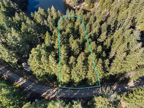431 NE Collins Lake Dr, Tahuya, WA 98588