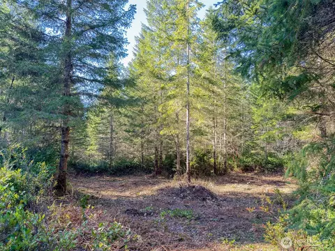 222 X Octopus Ct, Quilcene, WA 98376