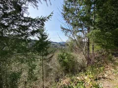 0 Nnn 250th Ave E, Orting, WA 98360 photo 4