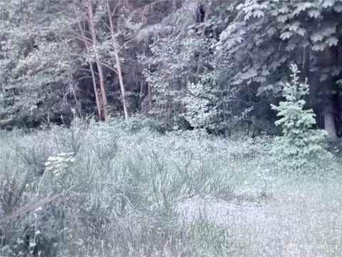 0 Lot 2 250th Ave E, Orting, WA 98360 photo 14
