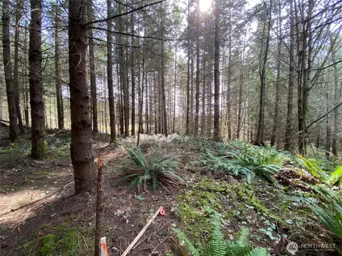 0 Nnn 250th Ave E, Orting, WA 98360 photo 3