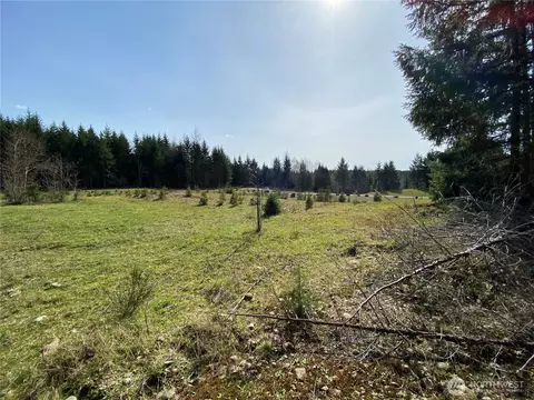 0 Nnn 250th Ave E, Orting, WA 98360 photo 5