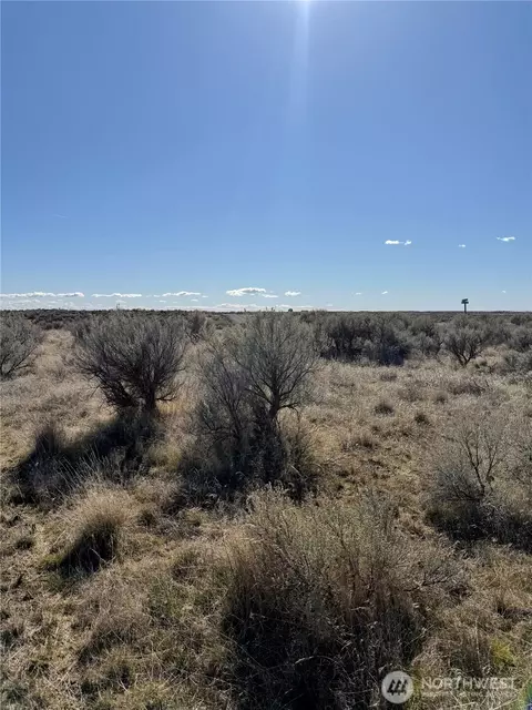 0 Lot 225 Eagle Springs Rnch, Wilson Creek, WA 98860
