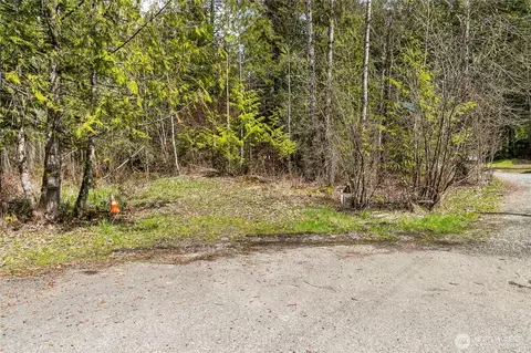 17045 Iceberg Rd, Glacier, WA 98244