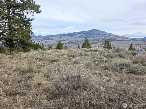 1 Tbd Badger Rd, Tonasket, WA 98855
