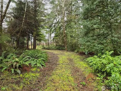0 W Lot 12 W Elk Hill Rd, Elma, WA 98541