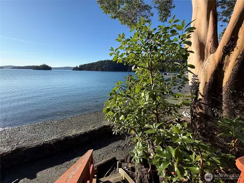 View/Area - 5244 Deer Harbor Rd, Eastsound, WA 98245 photo 5 of 8