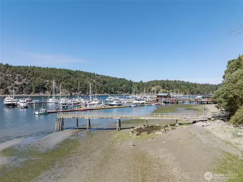 View/Area - 5244 Deer Harbor Rd, Eastsound, WA 98245 photo 3 of 8