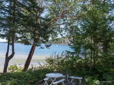 View/Area - 5244 Deer Harbor Rd, Eastsound, WA 98245 photo 8 of 8