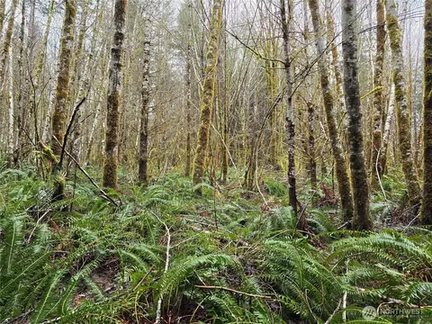 0 W Lot 4 W Elk Hill Rd, Elma, WA 98541