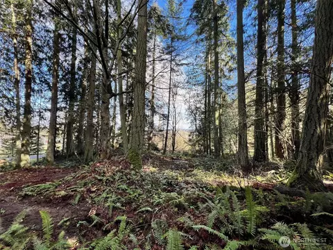9999 S Sequim Ave Parcel C, Sequim, WA 98382 photo 7