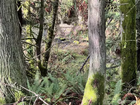 9999 S Sequim Ave Parcel C, Sequim, WA 98382 photo 9
