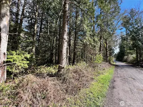 9999 S Sequim Ave Parcel C, Sequim, WA 98382 photo 5