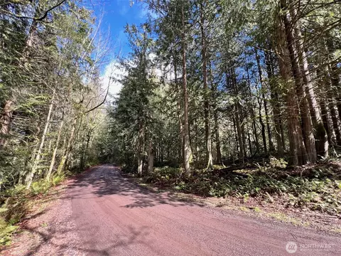 9999 S Sequim Ave Parcel C, Sequim, WA 98382 photo 6