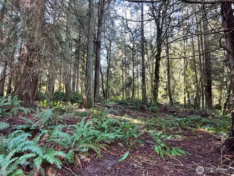 9999 S Sequim Ave Parcel C, Sequim, WA 98382 photo 10