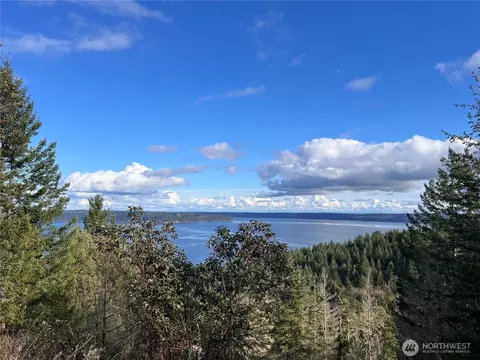 59 X Moose Mountain Rd, Brinnon, WA 98320