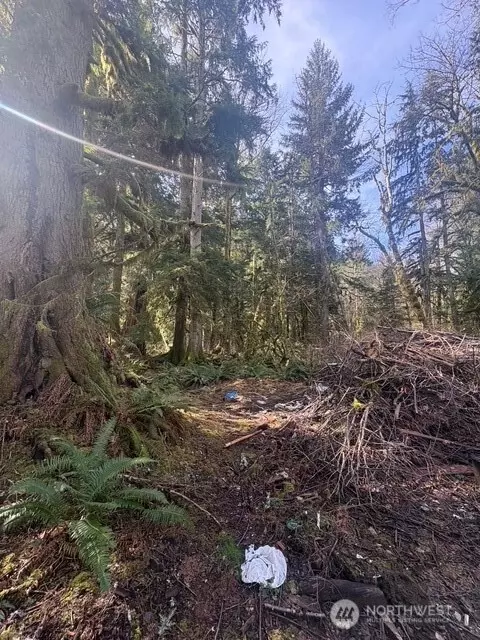 63605 NE 189th St, Baring, WA 98224