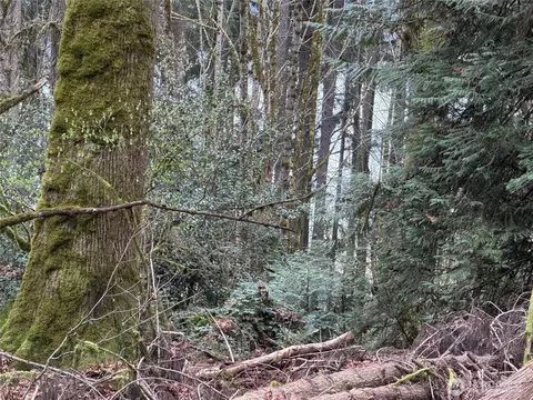 17680 Hallman Rd NW, Poulsbo, WA 98370