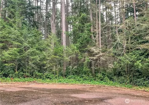 12514 93rd Street Ct, Anderson Island, WA 98303