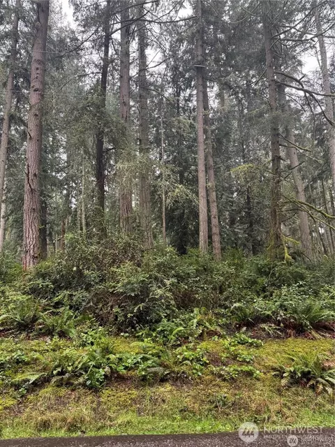 12708 Lovass Rd, Anderson Island, WA 98303