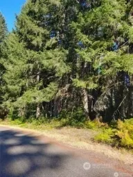 10511 130th Ave, Anderson Island, WA 98303