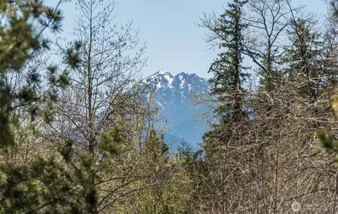 4890 Lost Mountain Rd, Sequim, WA 98382 photo 31