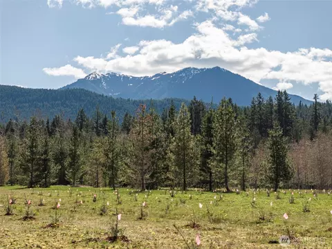 4890 Lost Mountain Rd, Sequim, WA 98382 photo 21