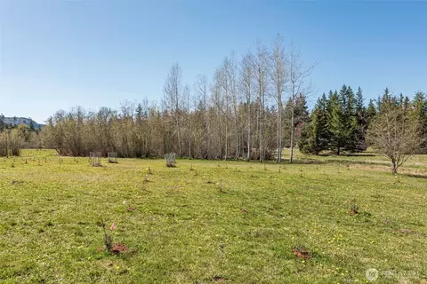 4890 Lost Mountain Rd, Sequim, WA 98382 photo 23