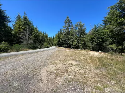 3 Nnnn Mt Jupiter Rd, Brinnon, WA 98320 photo 17