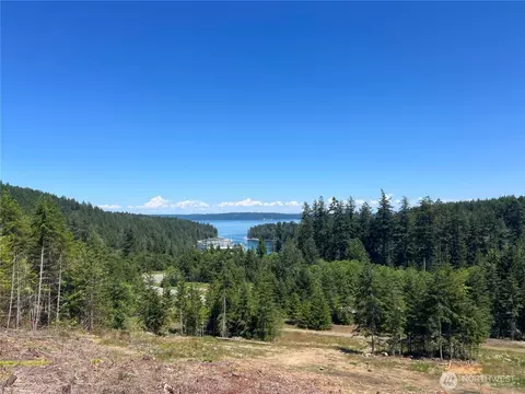 3 Nnnn Mt Jupiter Rd, Brinnon, WA 98320
