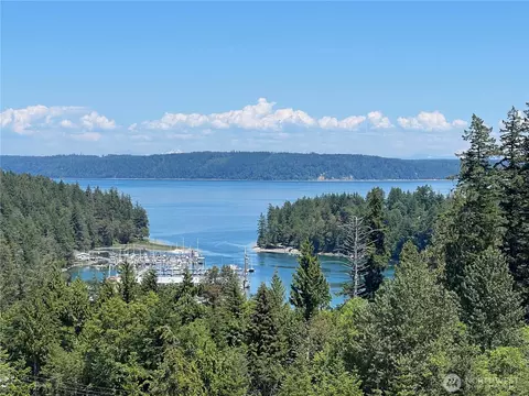 3 Nnnn Mt Jupiter Rd, Brinnon, WA 98320 photo 2
