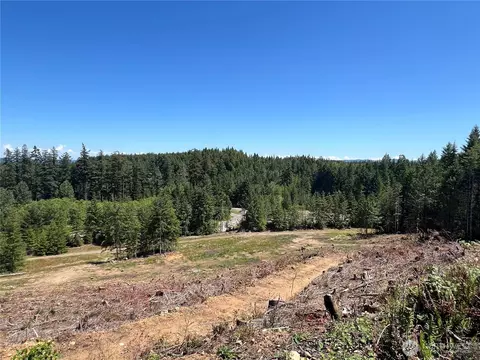3 Nnnn Mt Jupiter Rd, Brinnon, WA 98320 photo 18