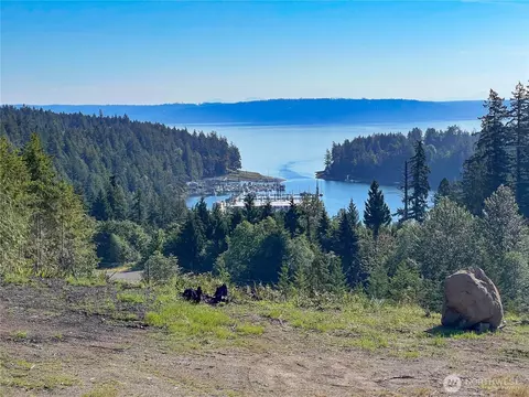 3 Nnnn Mt Jupiter Rd, Brinnon, WA 98320 photo 3