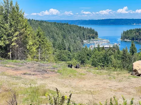 3 Nnnn Mt Jupiter Rd, Brinnon, WA 98320 photo 8