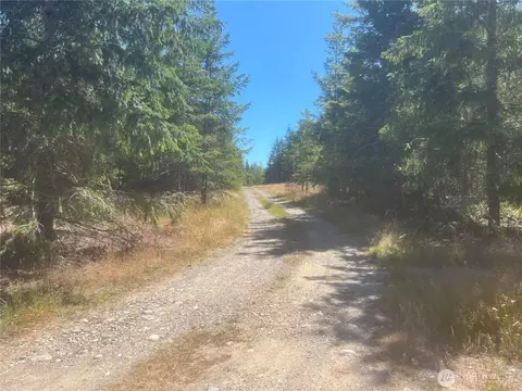 3 Nnnn Mt Jupiter Rd, Brinnon, WA 98320 photo 27