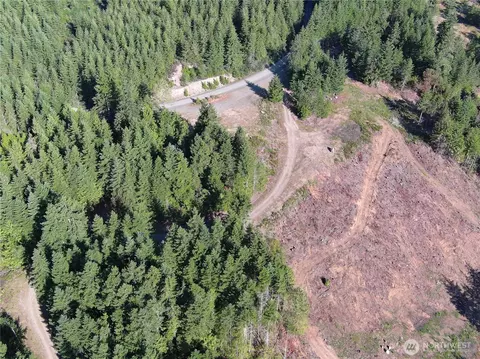 3 Nnnn Mt Jupiter Rd, Brinnon, WA 98320 photo 6